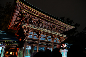 【映 -BAE-】 「【映 -BAE-】 「#23 大宮盆栽村100周年の夜」より