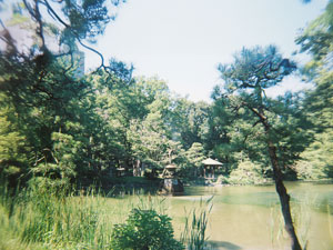 【Shin 35mm MUSEUM】 「WORKS 03 緑の中で」より